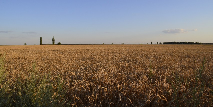 Op-Ed, La Stampa: That agreement which is already waste paper