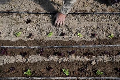 Op-Ed, The Financial Times: The global food crisis unleashed by the war