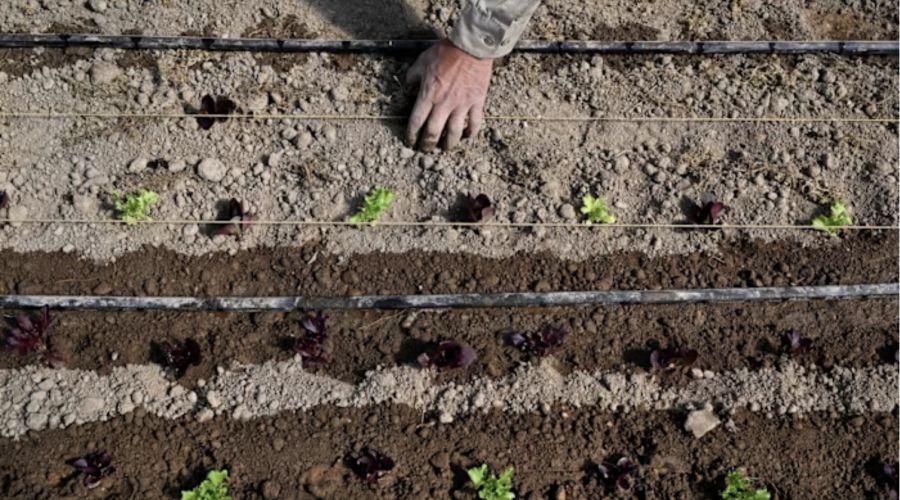 Op-Ed, The Financial Times: The global food crisis unleashed by the war