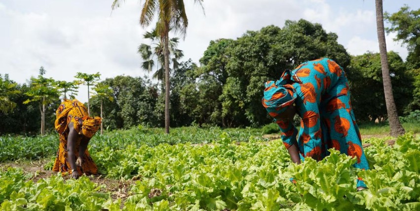 Il Sole 24 Ore: Climate finance in Africa is knocking on the door of the insurance industry - Article