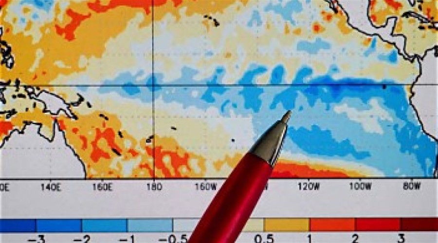 DW News:  How El Nino and two wars are driving the next food price crisis - Video